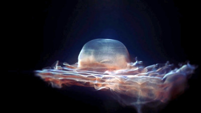 Motion design