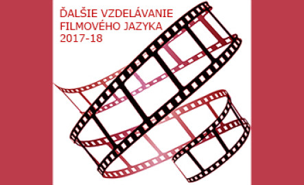 DVFJ logo 2017