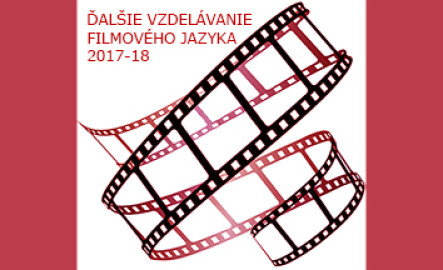 Logo DVFJ 2017