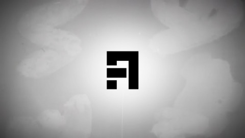 Motion Design - custom intro