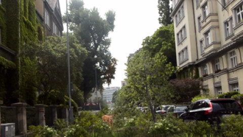Destroyed city