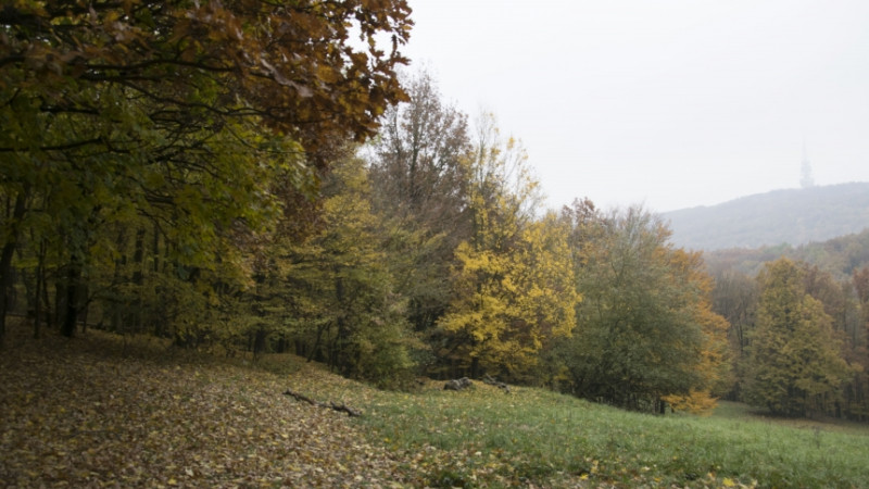  Farebné atmosféry, Ornela Petrášová, 1. ročník AVFX, 2016/2017