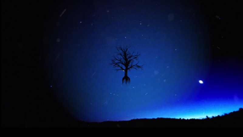 3D strom vo videu