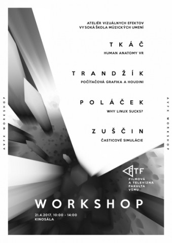 2017 Workshop AVFX