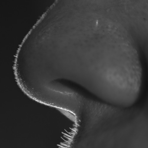 Photographic work