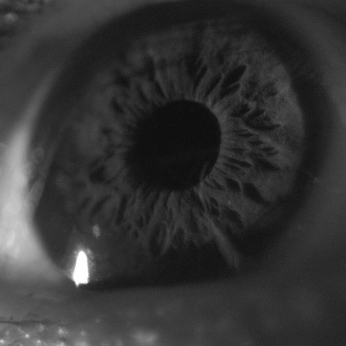 Photographic work