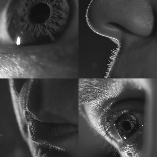 Photographic work